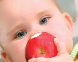 Рацион питания ребенка – главное условие здоровья
