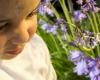 Аллергический ринит у детей – причины его возникновения